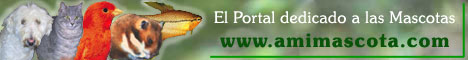Mascotas, perros, gatos, pajaros, peces y roedores