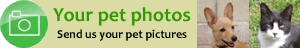 Your pet photos