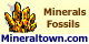 Minerals and fossils, MineralTown.com