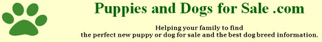 puppiesanddogsforsale.com