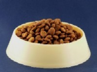 bowl of dog food